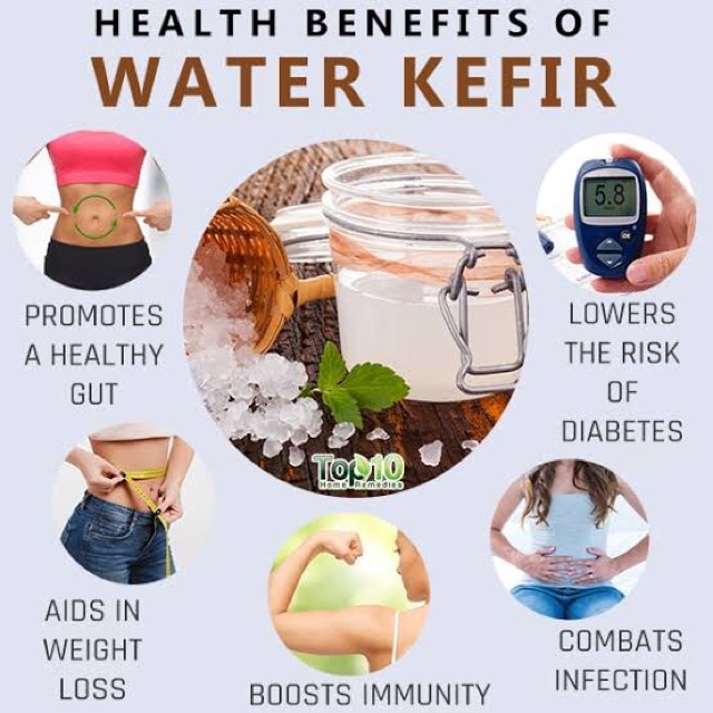 Water Kefir Health Benefits Weight Loss Blog Dandk