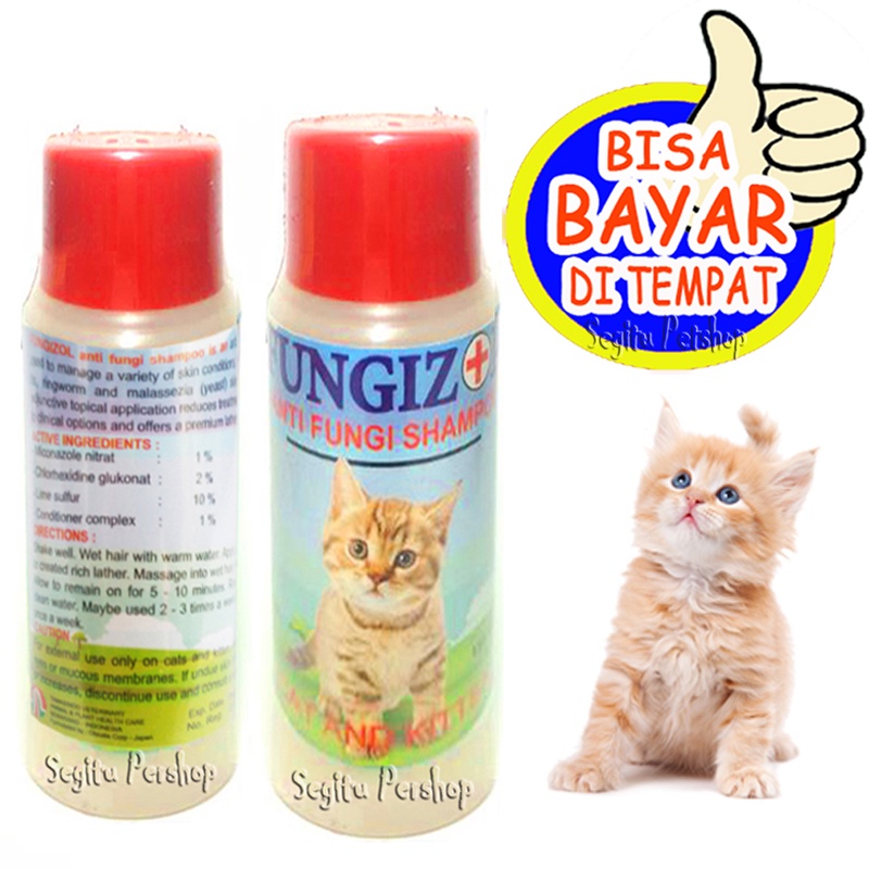 Shampo Cat ANTI FUNGIZOL SAMPO KITTEN SCABIES FUNGIZOL | Shopee Philippines
