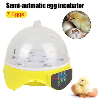 Automatic Brooder Egg Incubator Adjustable Digital Temperature Poultry Incubator for Chick Duck Bird