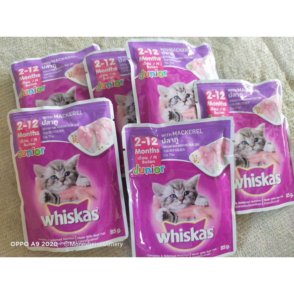 Whiskas Wet Food 85g (Kitten) Shopee Philippines