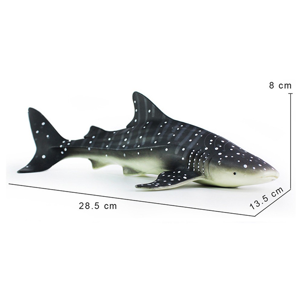 Mix Education Simulated Whale Sharks Model Cartoon Summer Wash Toy Bath Play Water Shopee Philippines