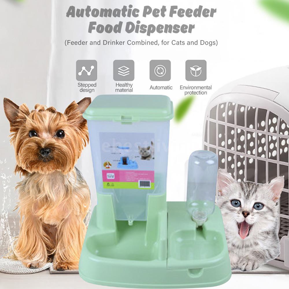 automatic dog feeder and water dispenser