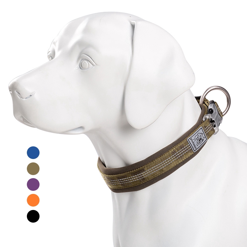 sturdy dog collars