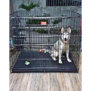 ( new product) QUALITY TWO DOOR XXXL  HEAVY DUTY COLLAPSIBLE DOG CAGE L35 W23 H26 size 4