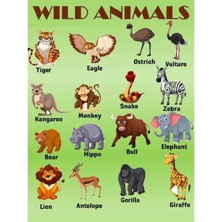 Tarpaulin Animals Chart for Kids l Animal l Chart for Kids l Educational  Chart | Shopee Philippines