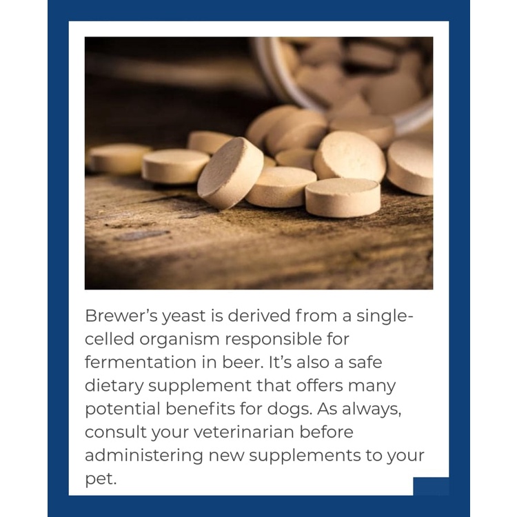 Nutrivet Brewers Yeast Chewable Tablets For Healthy Skin and Coat of Puppies and Adult Dogs #2