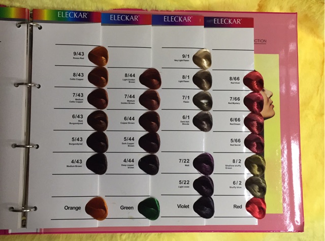 Elecar Ash Hair color set | Shopee Philippines