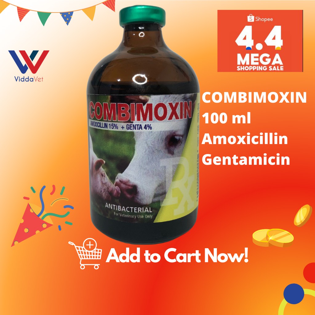 amox Best Prices and Online Promos Jan 2023 Shopee Philippines