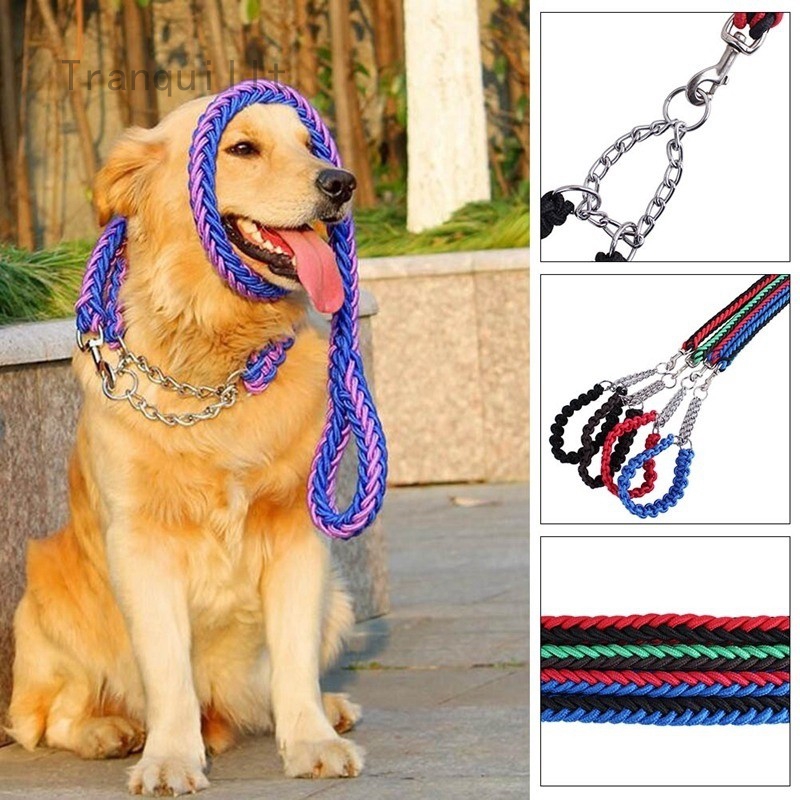 big dog leash