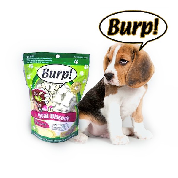burp dog treats