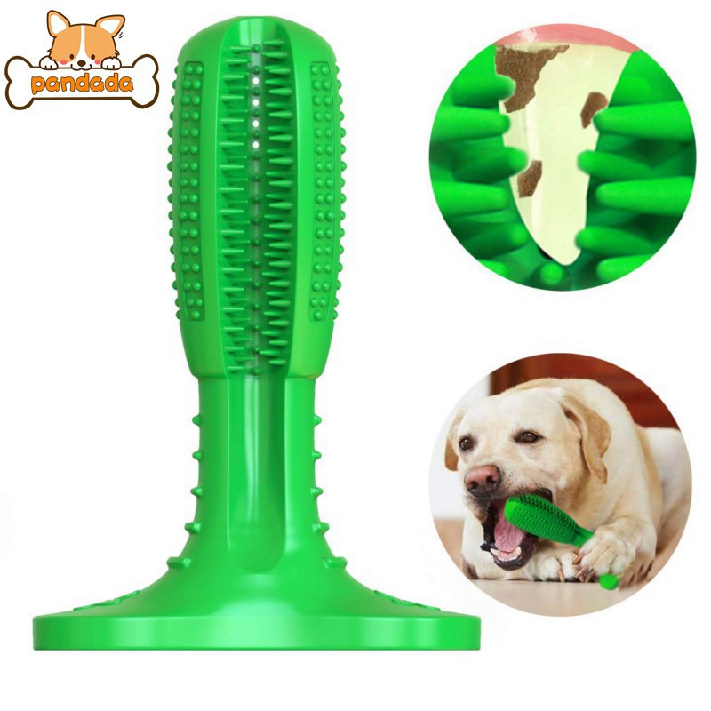 dog toothbrush target