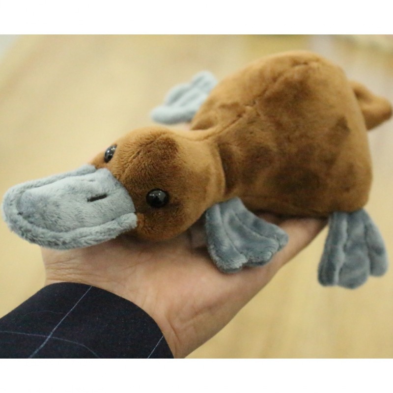 platypus doll