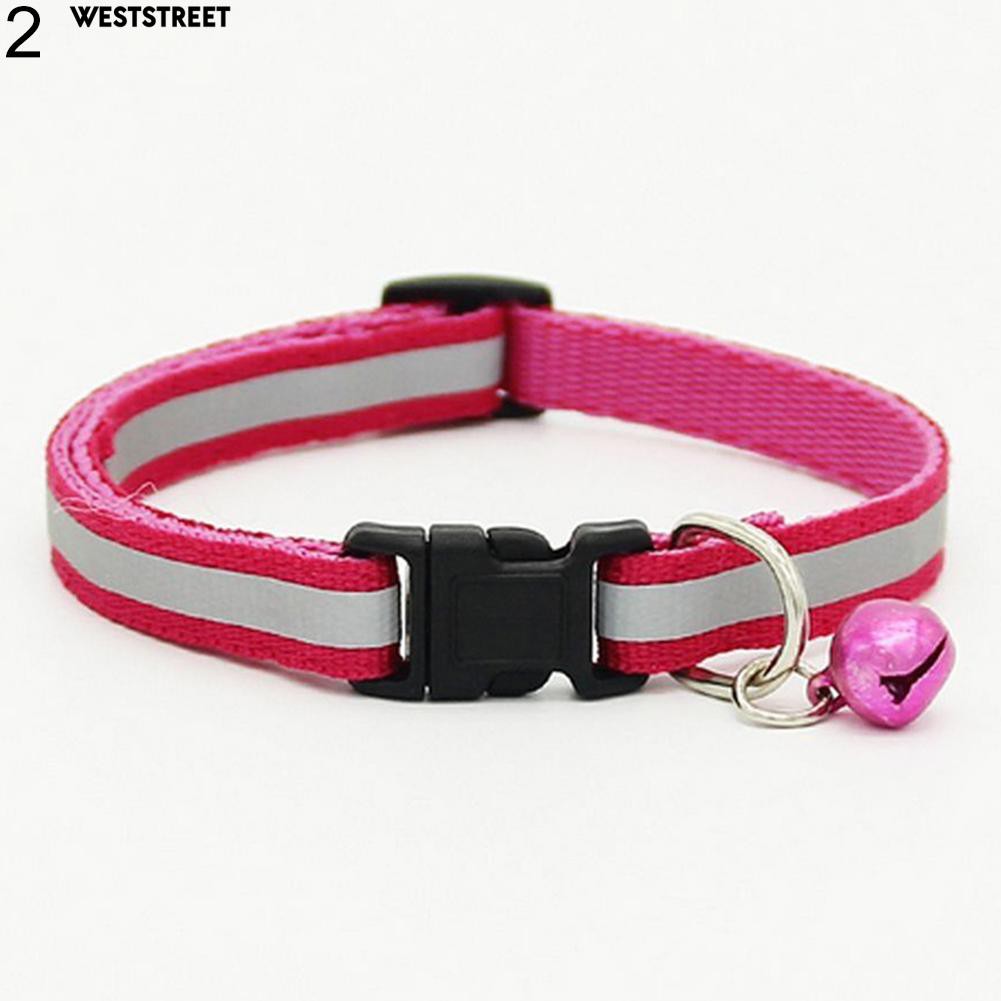 buckle dog collars