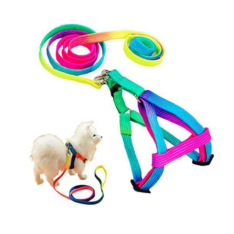 toy dog collar and lead