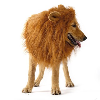 Dog Lion Wigs Mane Hair For Party Halloween Festival #5