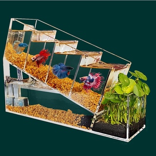 Self-Circulating Filtration&Water-Free Ecological Mini Acrylic Desktop Betta Fish Tank Small Isolati