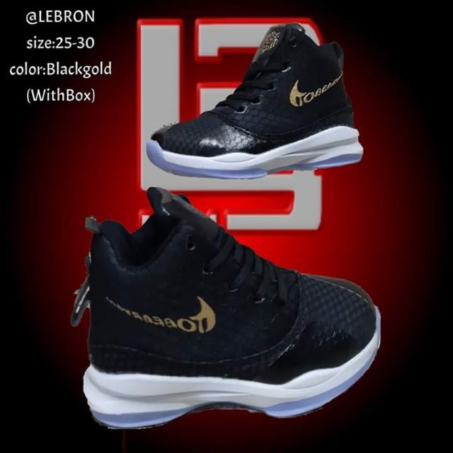 lebron 30 shoes