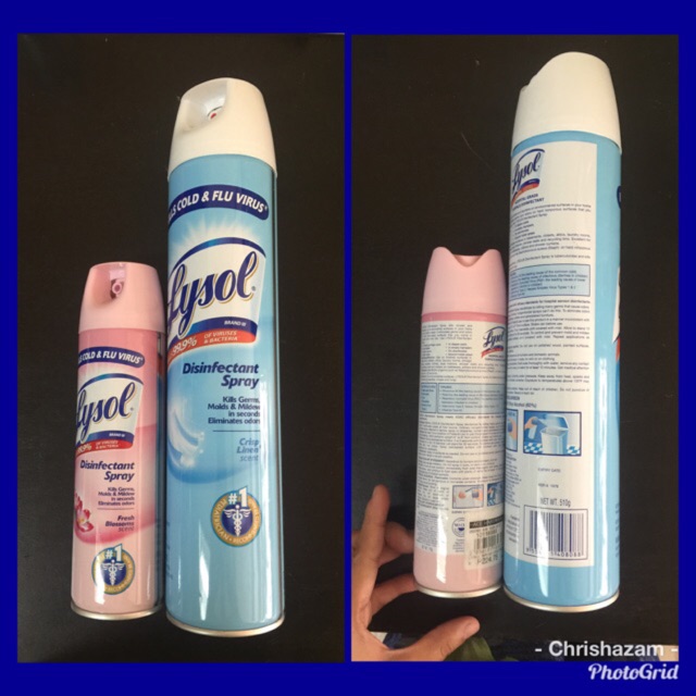 Lysol Disinfectant Spray Sizes Philippines