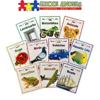 Luxxe Angels My First Encyclopedia (Set of 10 Educational Children's Books)  Books for Boys  Boys fo #1