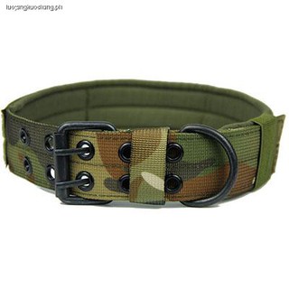 special dog collars