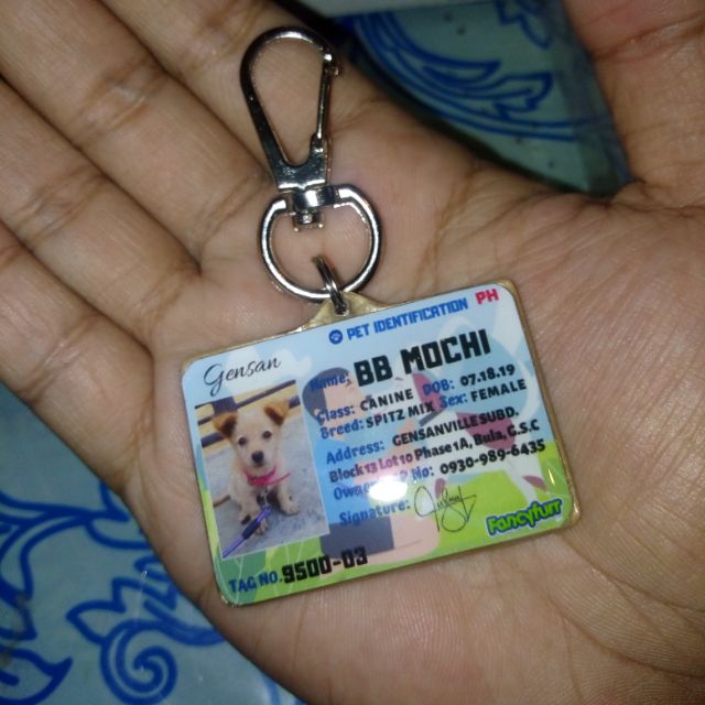 dog house for sale craigslist