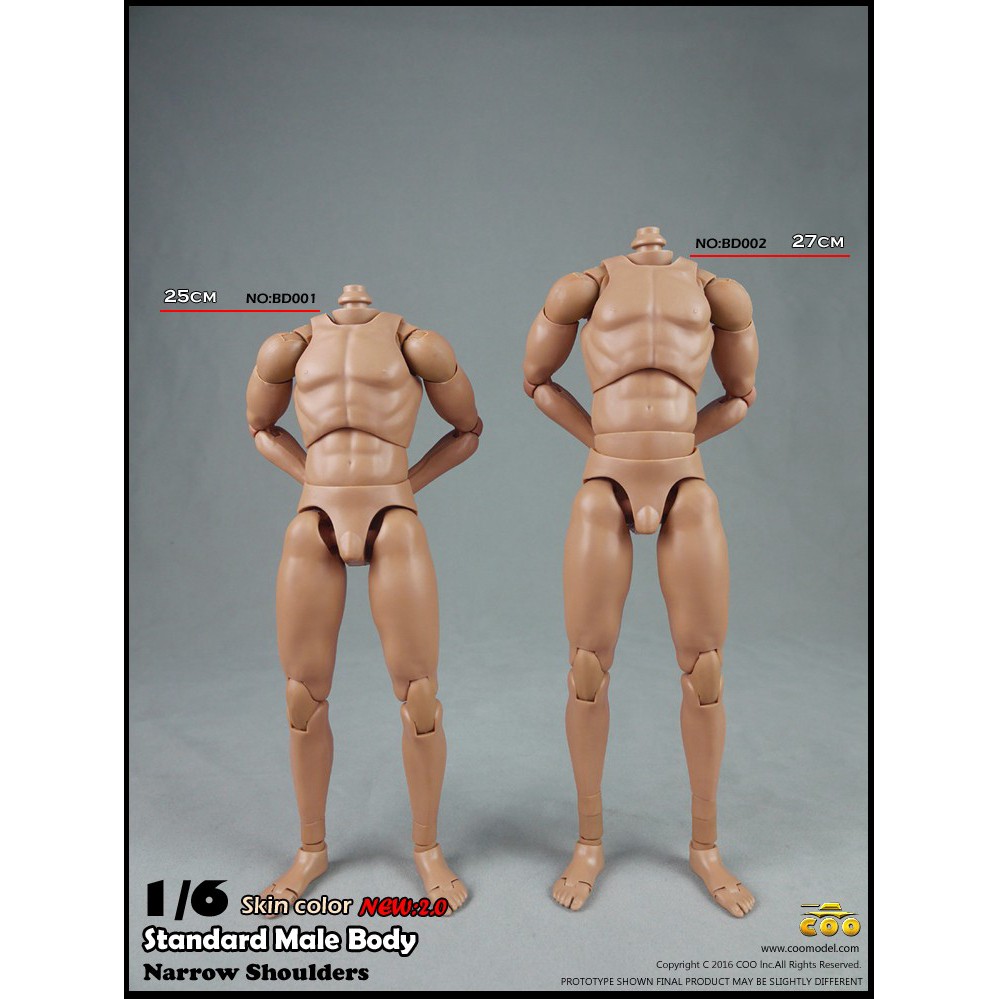 Flesh Colour Narrow Shoulder and Muscle 1//6 Action Figure Male Body Version 4.0