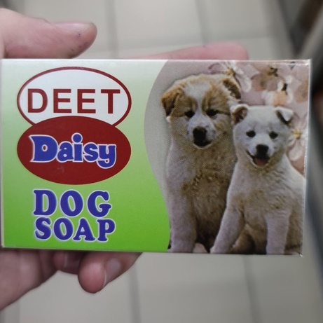 how much do daisy dogs cost