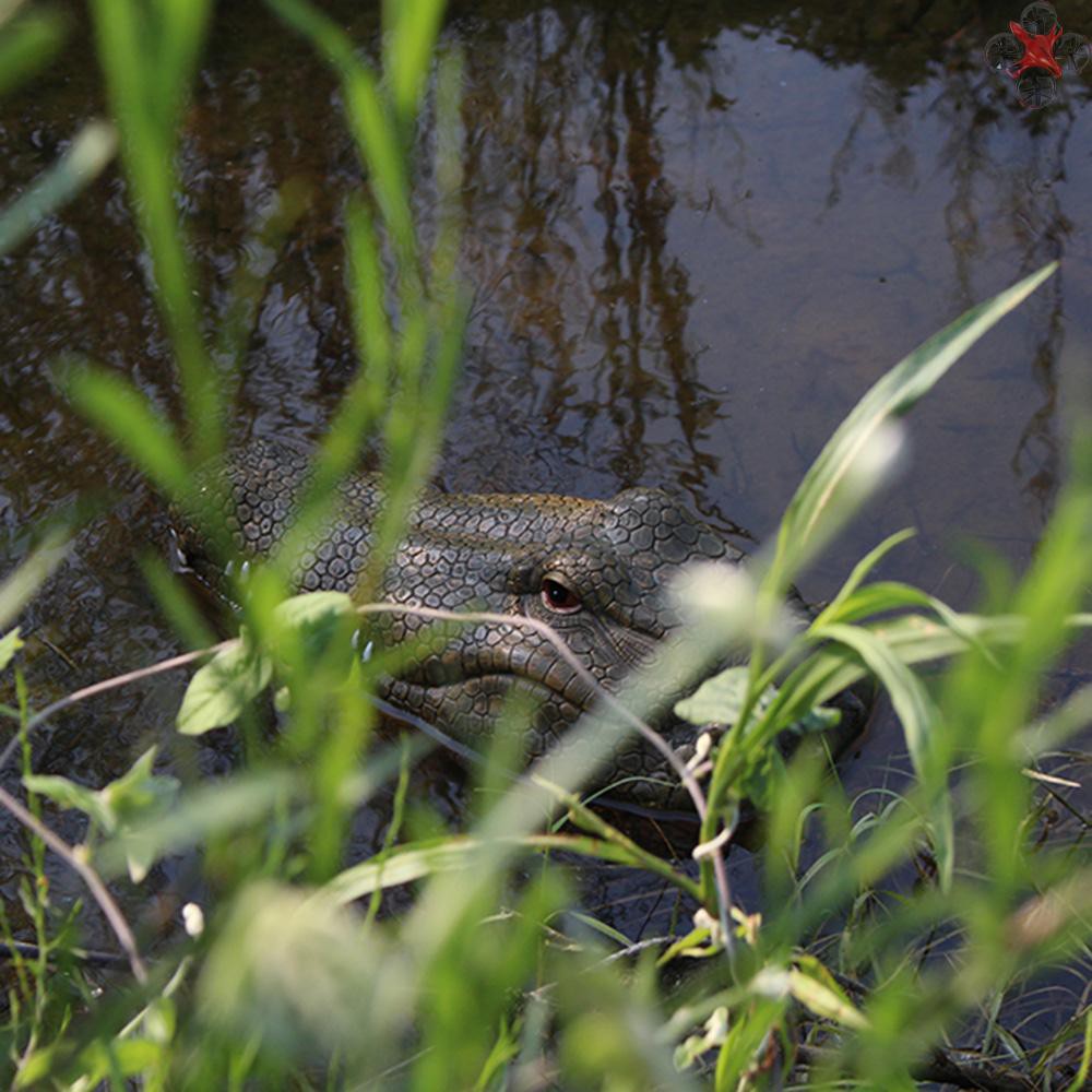 remote control gator head