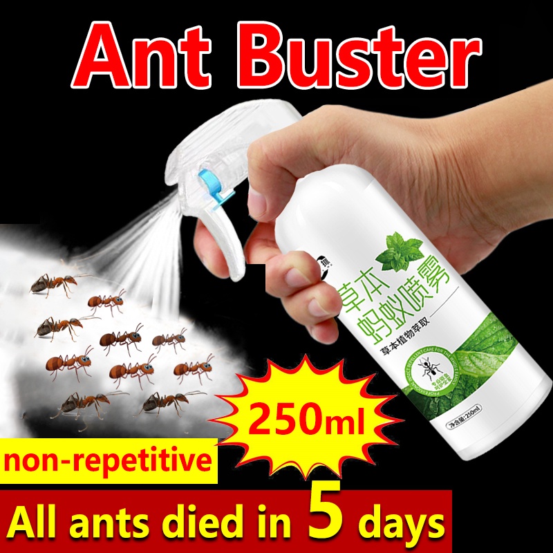 Ants spray killer 250ml Ant bait ant killer Ant repellent spray Plant