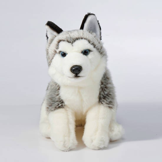 animal alley husky