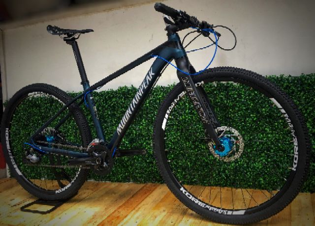 mountain peak bike price