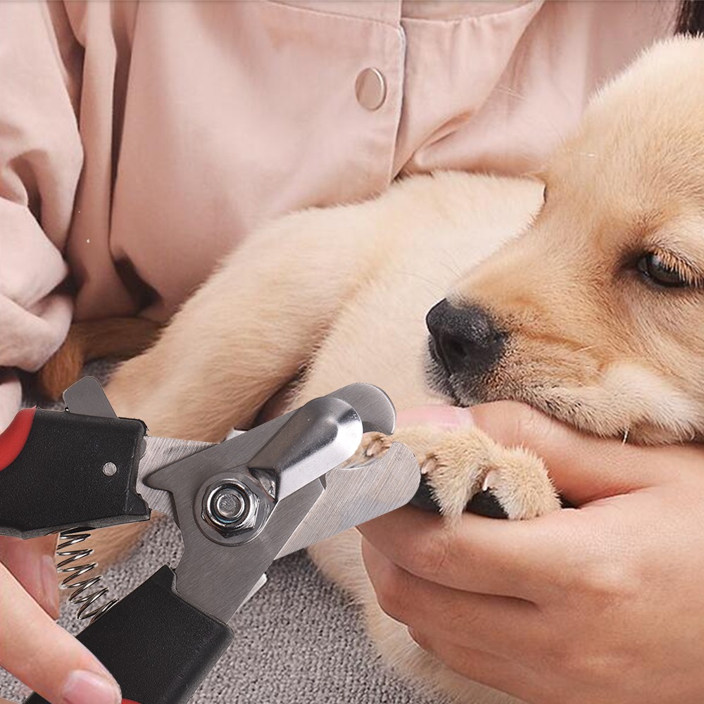 professional dog nail cutters