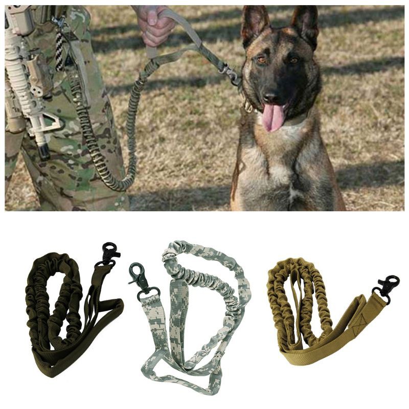 dog training leash