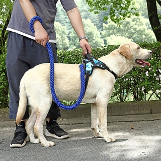 Dog Hand Holding Rope Chest Back Dog Chain Small Dog Dog Leash Medium Large Dog Golden Retriever Labrador Dog Supplies Dog traction rope dog chain pet supplies