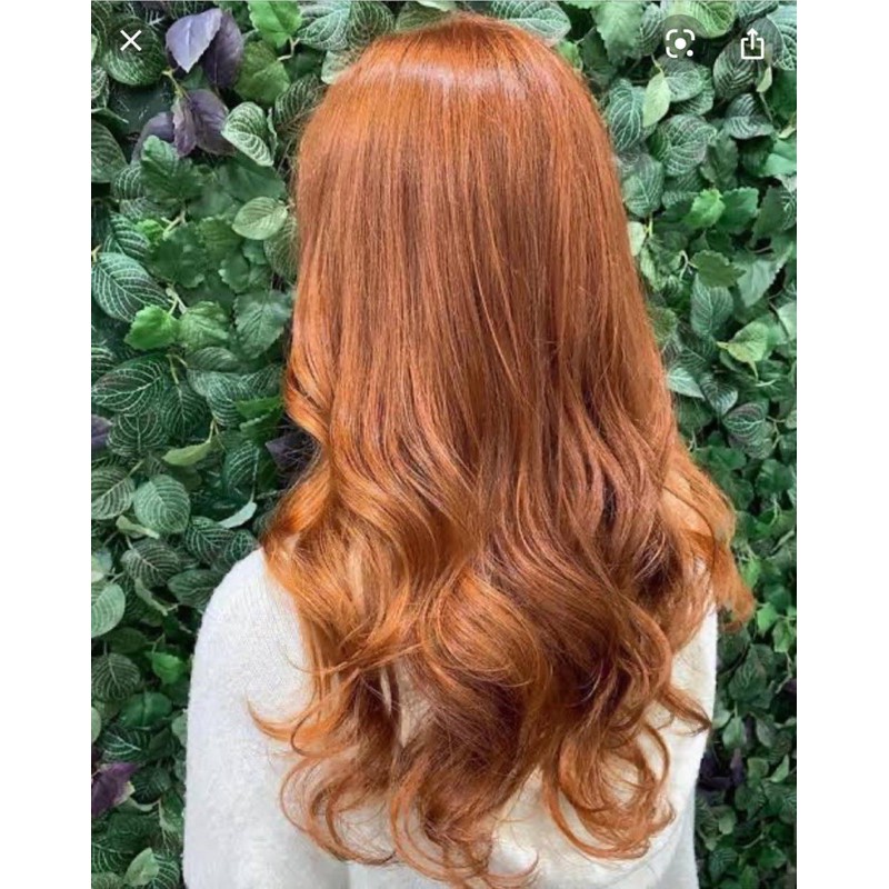 Kaka hair color set 100ml light golden brown 8/44 | Shopee Philippines