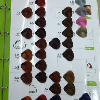 bremod color chart best for your hair shopee philippines