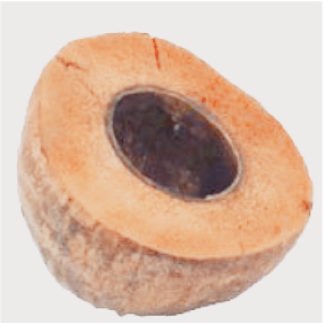 Scrubbing The Floor Using Coconut Husk Viewfloor.co