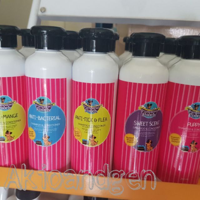 pampered pooch hours