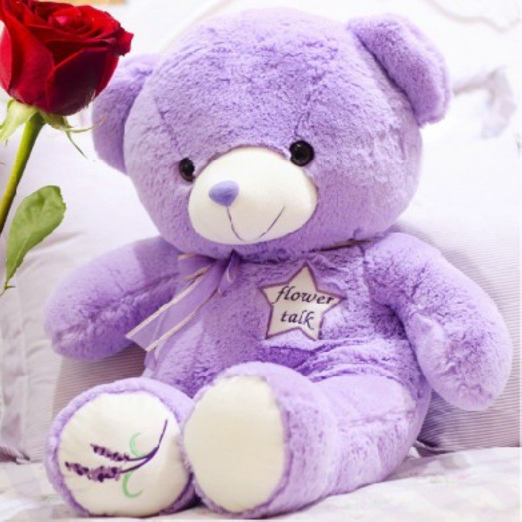 lilac teddy
