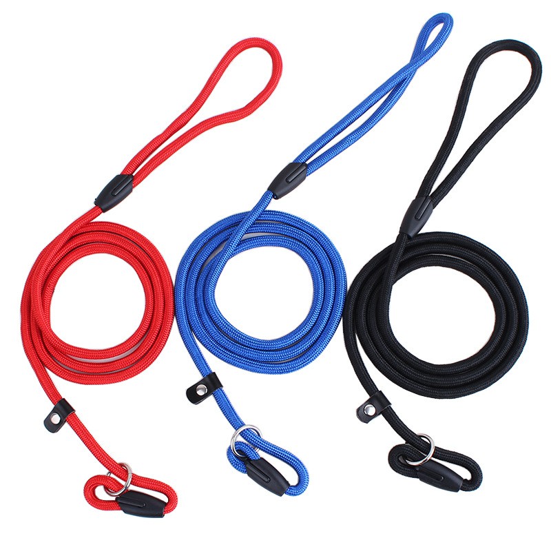 2021 Hot Item High Quality Round Nylon Rope Slip Dog Walking and Training Leash for Dogs and Cats #2