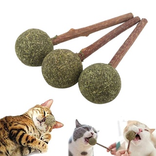 2Pcs Pet Products Pet Cat Toys Natural Catnip Lollipop Shape for cat Teeth Cleaning and Oral Care Pet Christmas New Year Gift