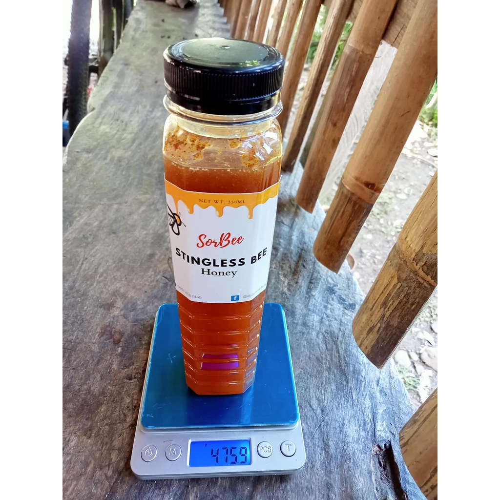 Buy 1 Take 1 Sorsogon's Best Pure Raw Wild Rare Trigona Native ...