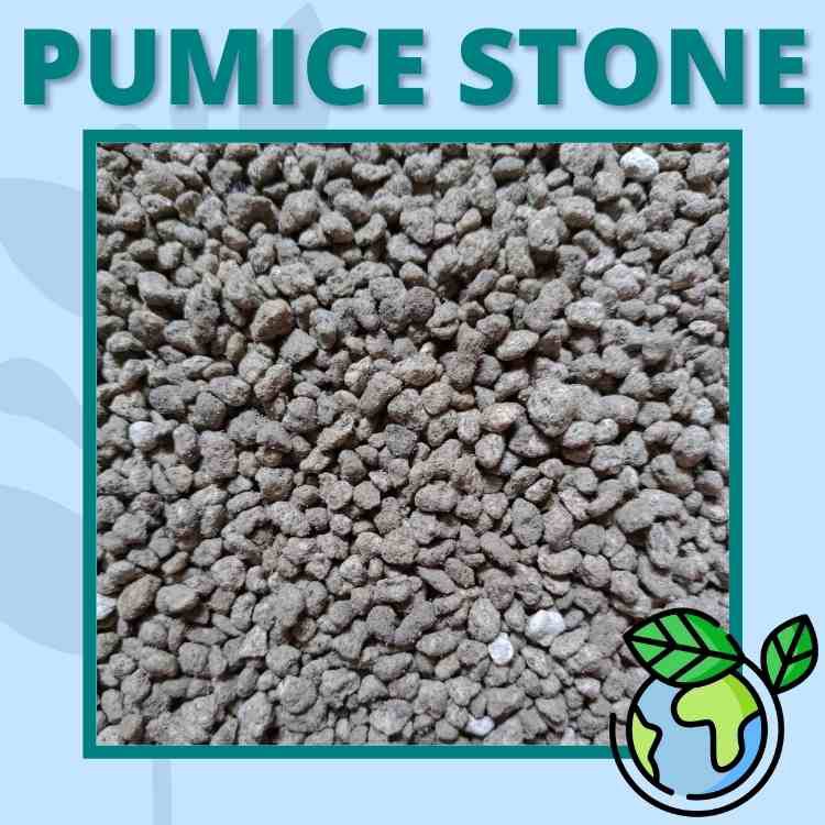 1KG High Quality Pumice Stone For Cactus &amp; Succulents