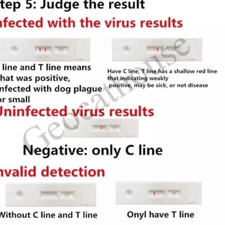 Quality Control CPV & CDV Dog Virus Test Tool (Canine Parvo Virus Test Kit And Canin Distemper Virus for Dog)|Ra3