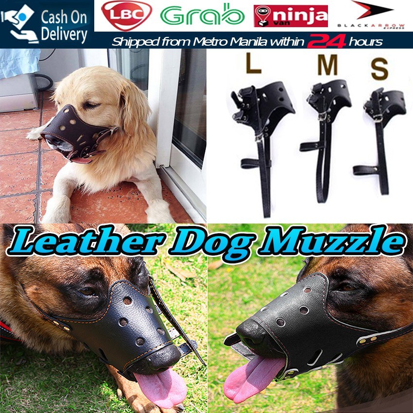 Muzzle Grab ubicaciondepersonas.cdmx.gob.mx