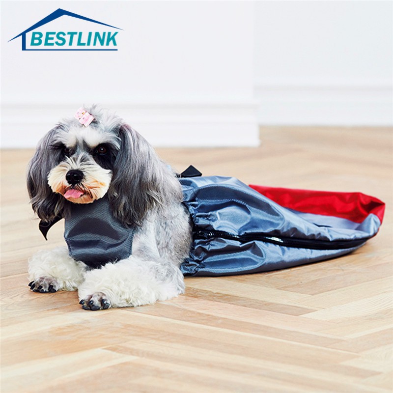 How Do You Clean A Paralyzed Dog