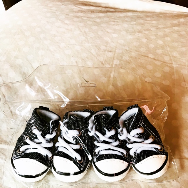 dog shoes shopee