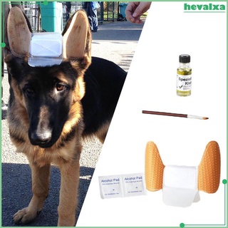 Dog Ear Erect Standing Up Sticker Ear Care Tool Kit Pets Dog Ear Support for Doberman Pinscher