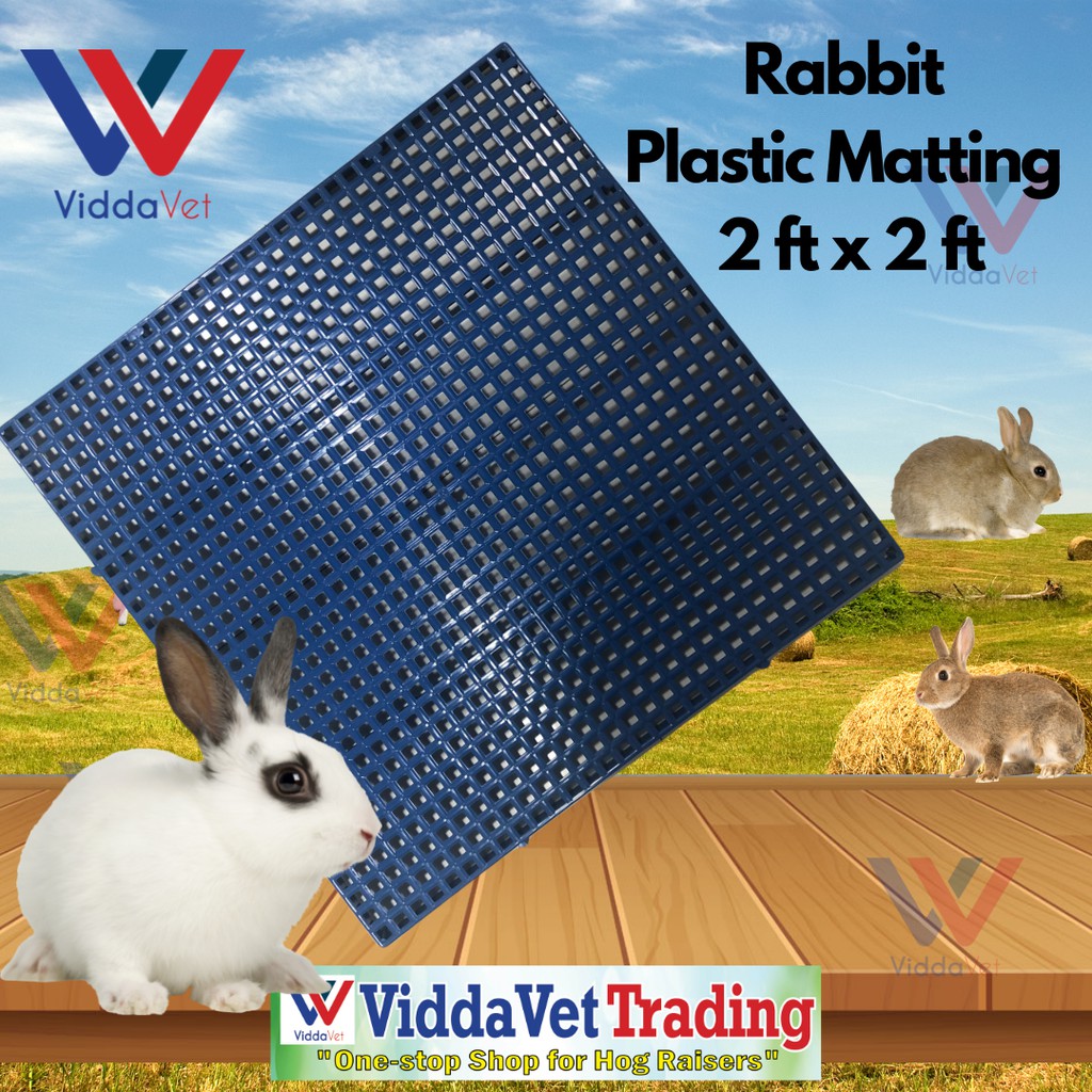 2 ft X 2 ft Plastic Matting Blue for Rabbits Heavy Duty Rabbit matting