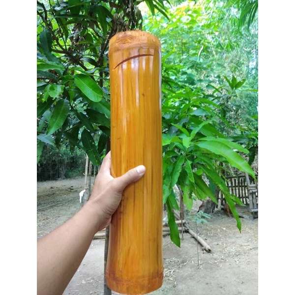 Bamboo Alkansya Large Size With Lucky Coins Shopee Philippines